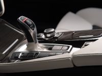 Vilner BMW F10 (2012) - picture 11 of 15