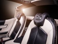 Vilner Chevrolet Corvette Stingray C3 (2013) - picture 10 of 23