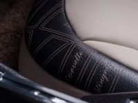 Vilner Chevrolet Corvette Stingray C3 (2013) - picture 14 of 23