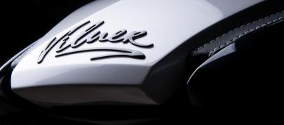 Vilner Ducati Diavel AMG (2013) - picture 12 of 25