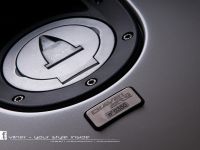 Vilner Ducati Diavel AMG (2013) - picture 19 of 25