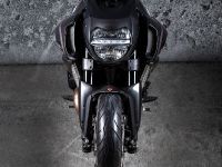 Vilner Ducati Diavel (2013) - picture 1 of 24