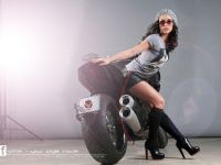 Vilner Ducati Diavel (2013)