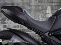 Vilner Ducati Diavel (2013) - picture 14 of 24