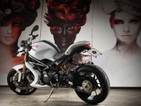Vilner Ducati Monster 1100 Evo (2012) - picture 2 of 19