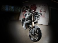 Vilner Ducati Monster 1100 Evo (2012) - picture 8 of 19