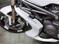 Vilner Ducati Monster 1100 Evo (2012)