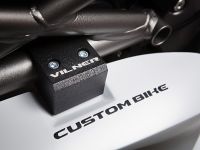 Vilner Ducati Monster 1100 Evo (2012) - picture 13 of 19