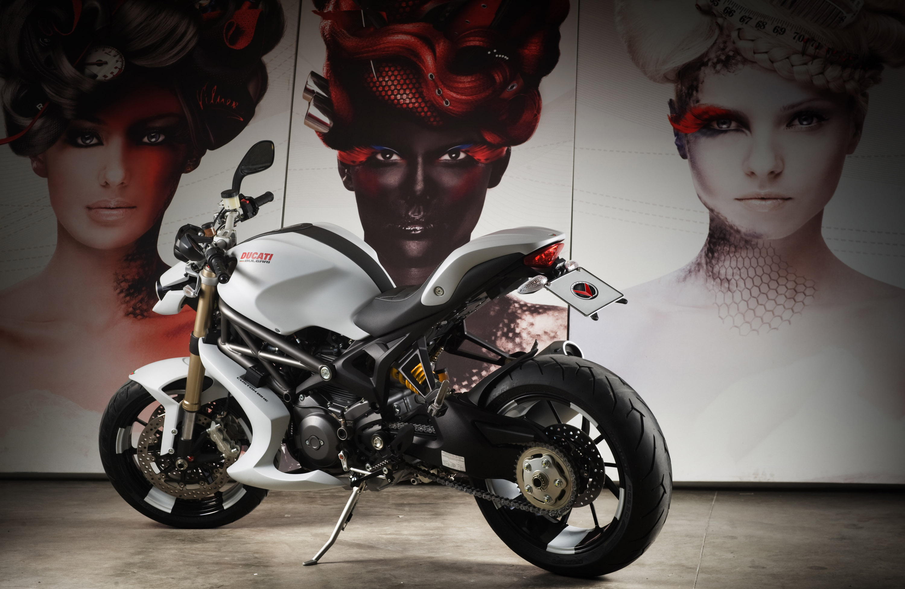 Vilner Ducati Monster 1100 Evo