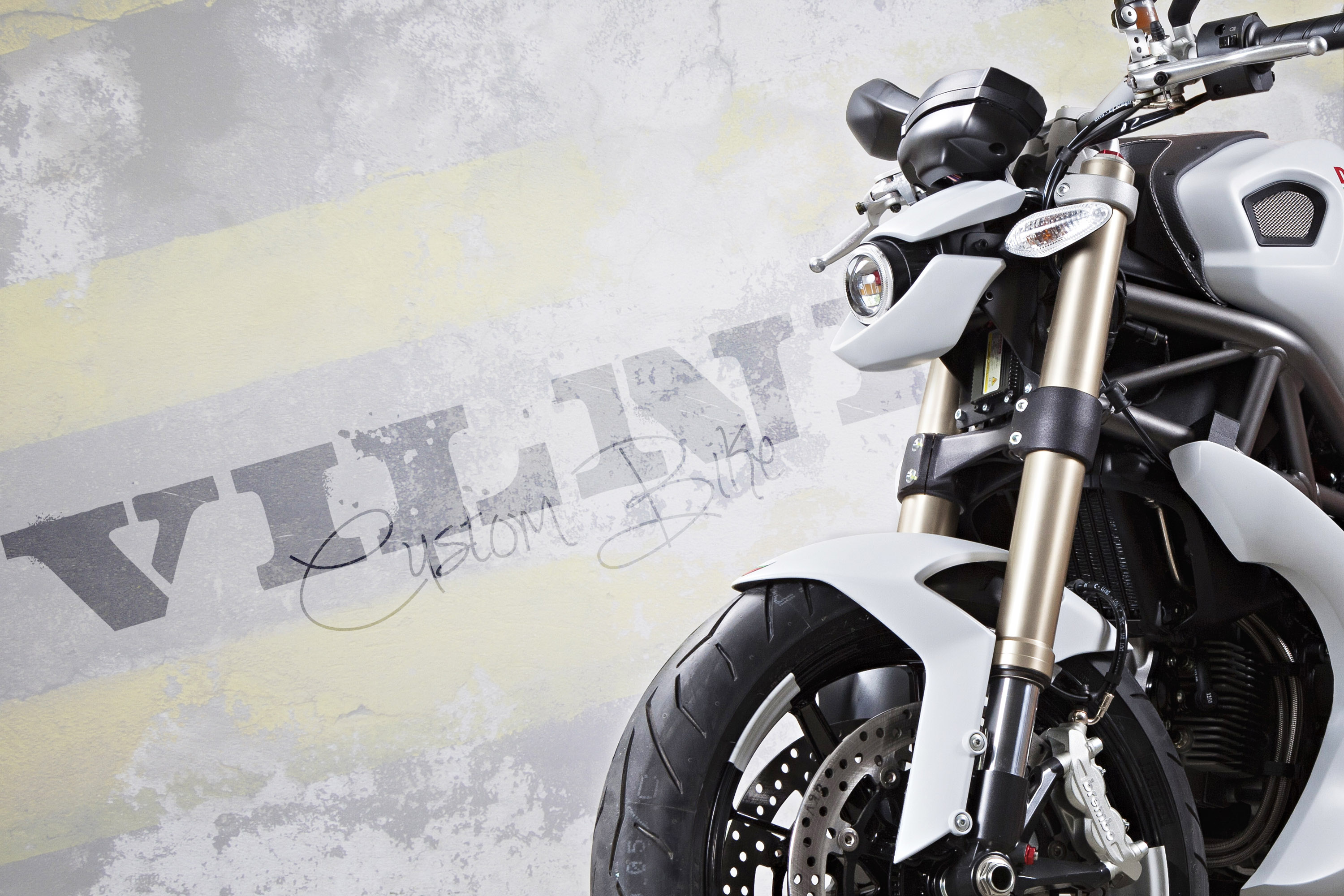 Vilner Ducati Monster 1100 Evo