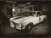 Vilner Gentle Pagoda Mercedes-Benz W113 (2012) - picture 2 of 20