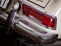 Vilner Gentle Pagoda Mercedes-Benz W113 (2012) - picture 5 of 20