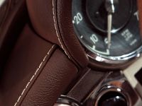 Vilner Gentle Pagoda Mercedes-Benz W113 (2012)