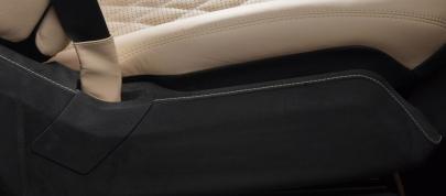 Vilner Mercedes-Benz G-Class (2011) - picture 12 of 17