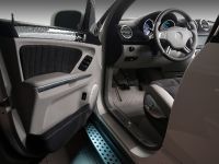 Vilner Mercedes-Benz ML 350 (2011)