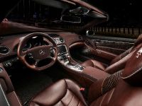 Vilner Mercedes-Benz SL (2013) - picture 3 of 14