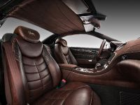 Vilner Mercedes-Benz SL (2013) - picture 6 of 14