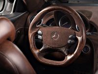 Vilner Mercedes-Benz SL (2013) - picture 7 of 14