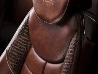 Vilner Mercedes-Benz SL (2013)