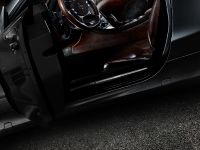 Vilner Mercedes-Benz SL (2013) - picture 14 of 14