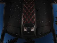 Vilner Nissan GT-R Starry Sky (2012) - picture 7 of 14