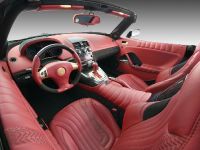 Vilner Saturn Sky (2011)