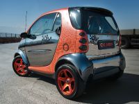 Vilner Smart FotTwo Square Style (2011) - picture 2 of 10