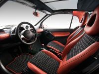 Vilner Smart FotTwo Square Style (2011) - picture 10 of 10