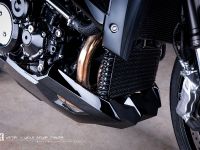 Vilner Suzuki B King (2013) - picture 14 of 14