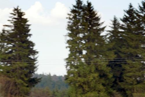 Vincero Bugatti Veyron 16.4 (2009) - picture 25 of 52