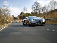 Vincero Bugatti Veyron 16.4 (2009) - picture 5 of 52