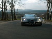 Vincero Bugatti Veyron 16.4 (2009) - picture 19 of 52