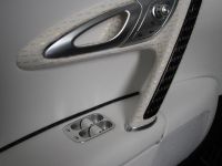 Vincero Bugatti Veyron 16.4 (2009) - picture 42 of 52