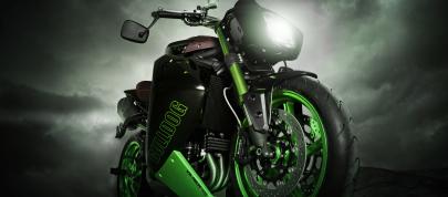 Vliner Triumph Speed Tripple Bulldog (2012) - picture 4 of 22