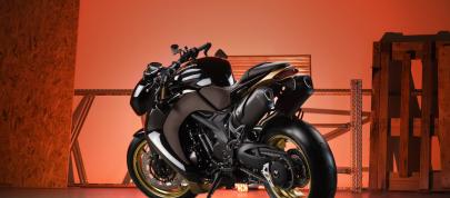 Vliner Triumph Speed Tripple Bulldog (2012) - picture 7 of 22