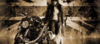 Vliner Triumph Speed Tripple Bulldog (2012) - picture 12 of 22