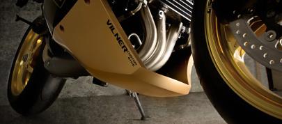 Vliner Triumph Speed Tripple Bulldog (2012) - picture 15 of 22