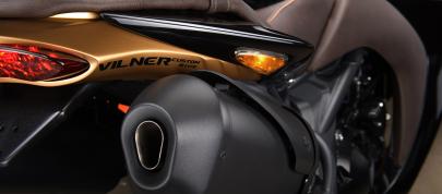 Vliner Triumph Speed Tripple Bulldog (2012) - picture 20 of 22