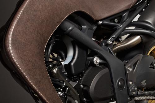 Vliner Triumph Speed Tripple Bulldog (2012) - picture 16 of 22