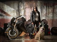 Vliner Triumph Speed Tripple Bulldog (2012) - picture 10 of 22