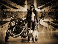 Vliner Triumph Speed Tripple Bulldog (2012)