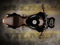 Vliner Triumph Speed Tripple Bulldog (2012) - picture 13 of 22