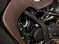 Vliner Triumph Speed Tripple Bulldog (2012)