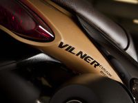 Vliner Triumph Speed Tripple Bulldog (2012)