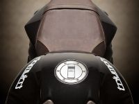 Vliner Triumph Speed Tripple Bulldog (2012) - picture 19 of 22