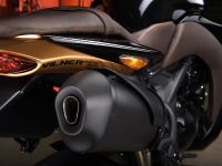 Vliner Triumph Speed Tripple Bulldog (2012)