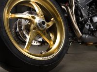 Vliner Triumph Speed Tripple Bulldog (2012) - picture 22 of 22