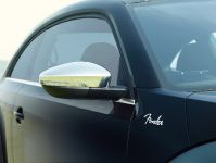 Volkswagen Beetle Fender Edition (2012)