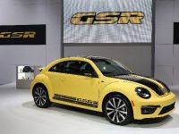 Volkswagen Beetle GSR Chicago (2013) - picture 2 of 4