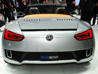 Volkswagen Concept BlueSport Detroit (2009)